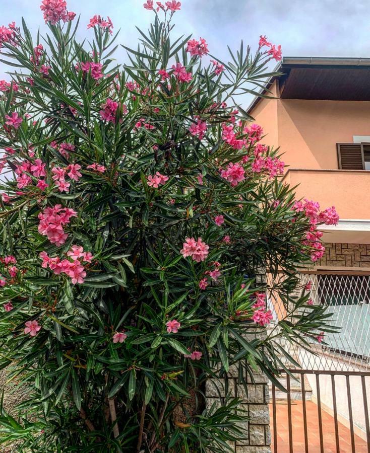Apartman Belle Maison Rijeka Exterior foto